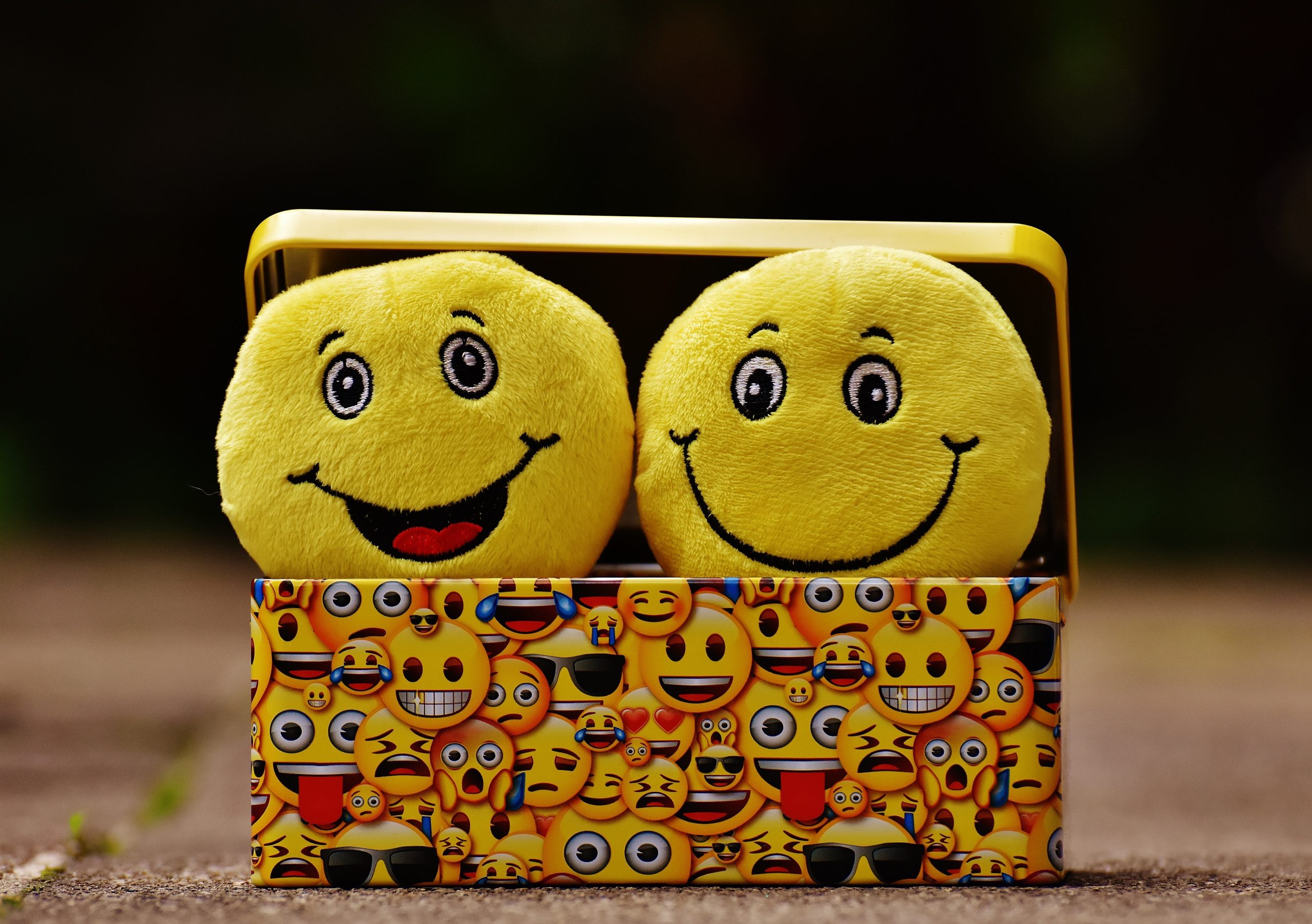 Next-to-emotional-inteligence-workshop-scaled-1