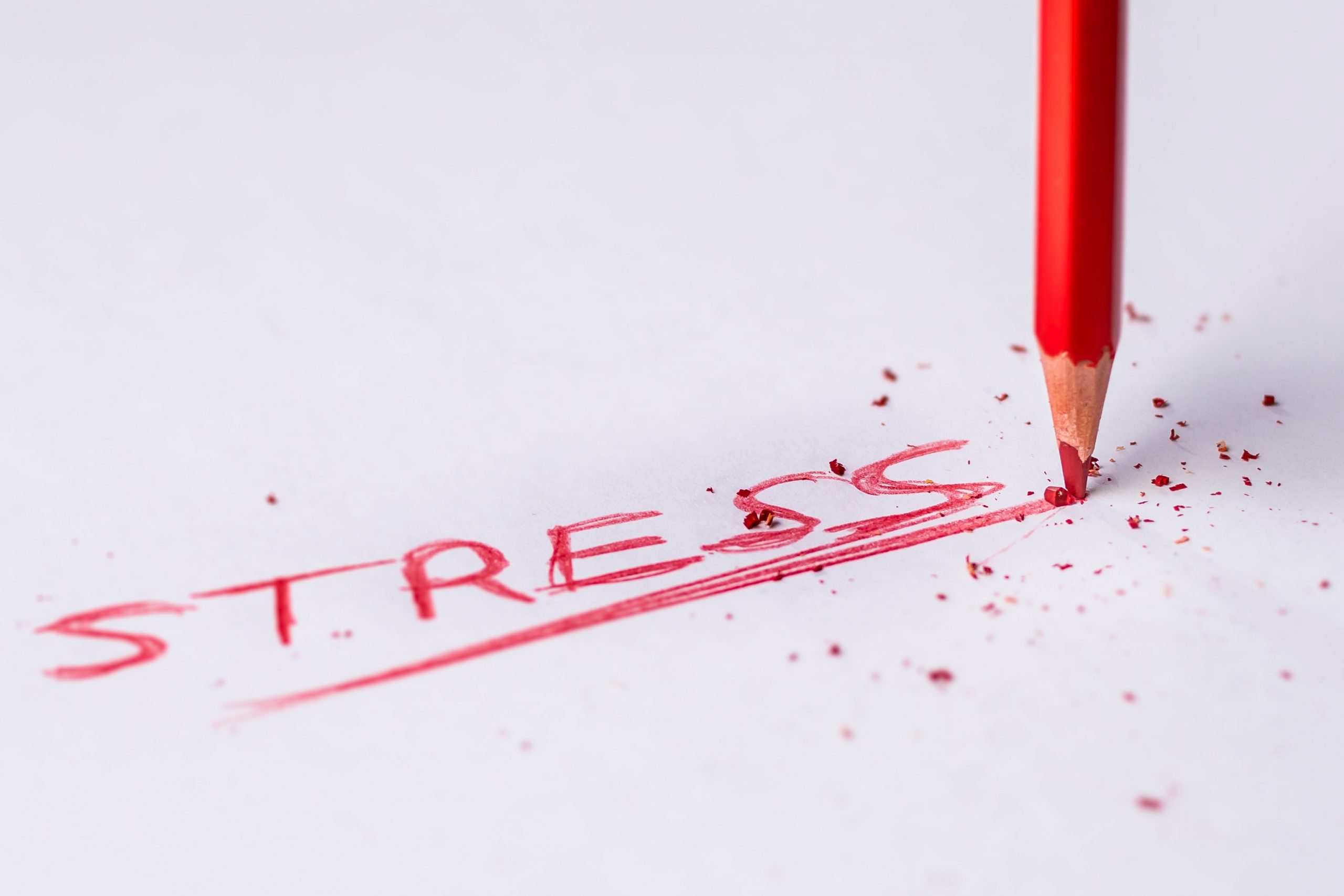 Next-to-stress-less-workshop-scaled-1